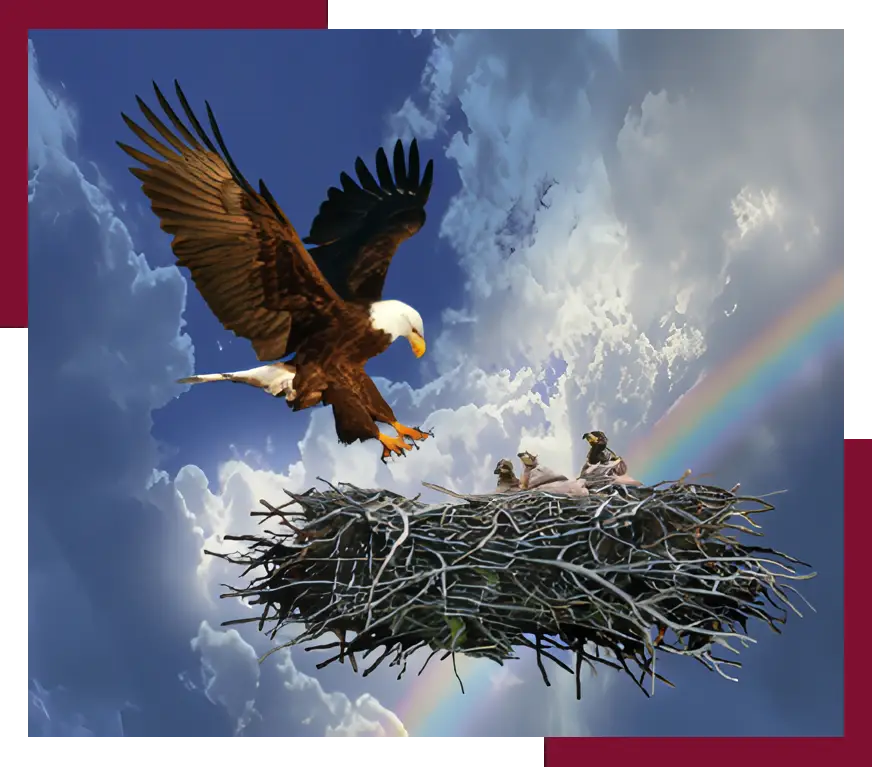 a bird flying over a nest